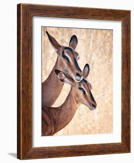 Do Not Worry, I'm Here-Mathilde Guillemot-Framed Photographic Print