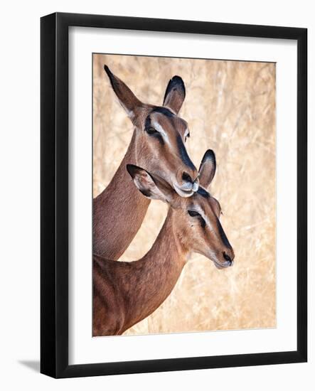 Do Not Worry, I'm Here-Mathilde Guillemot-Framed Photographic Print