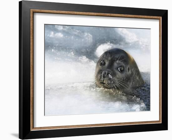 Do You Have A Fish ?-Holger Droste-Framed Giclee Print