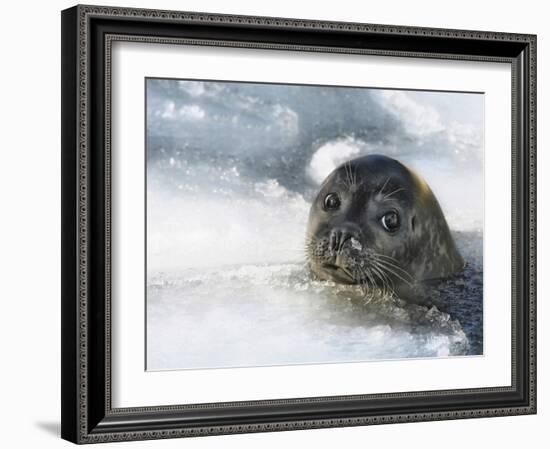 Do You Have A Fish ?-Holger Droste-Framed Giclee Print