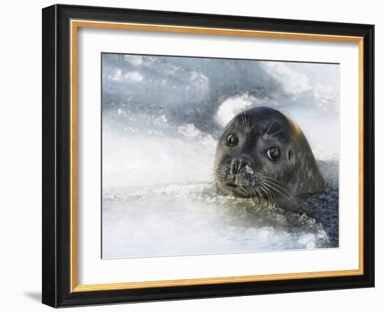 Do You Have A Fish ?-Holger Droste-Framed Giclee Print