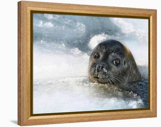 Do You Have a Fish?-Holger Droste-Framed Premier Image Canvas