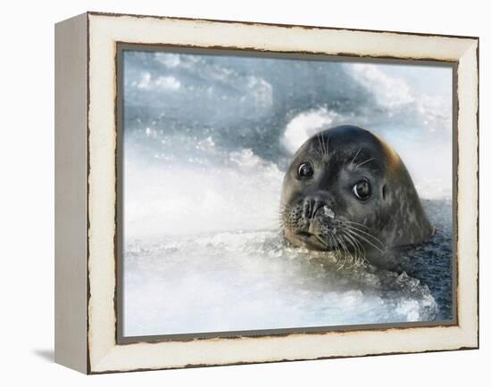 Do You Have a Fish?-Holger Droste-Framed Premier Image Canvas