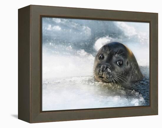 Do You Have a Fish?-Holger Droste-Framed Premier Image Canvas