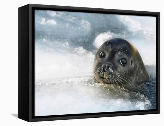 Do You Have a Fish?-Holger Droste-Framed Premier Image Canvas