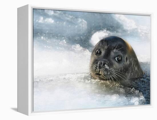 Do You Have a Fish?-Holger Droste-Framed Premier Image Canvas