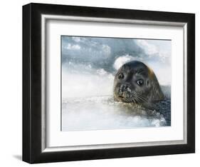 Do You Have a Fish?-Holger Droste-Framed Photographic Print