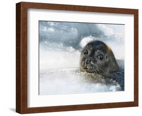 Do You Have a Fish?-Holger Droste-Framed Photographic Print