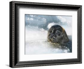 Do You Have a Fish?-Holger Droste-Framed Photographic Print