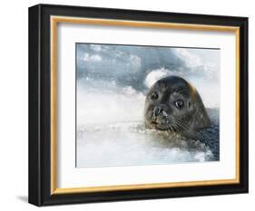 Do You Have a Fish?-Holger Droste-Framed Photographic Print