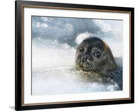 Do You Have a Fish?-Holger Droste-Framed Photographic Print