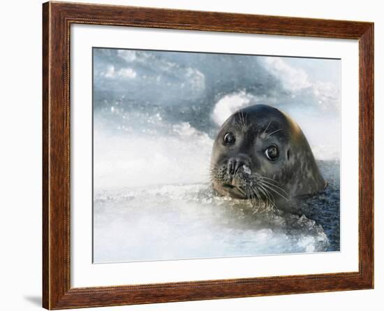 Do You Have a Fish?-Holger Droste-Framed Photographic Print