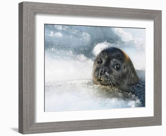 Do You Have a Fish?-Holger Droste-Framed Photographic Print