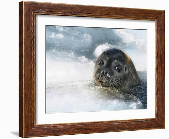 Do You Have a Fish?-Holger Droste-Framed Photographic Print