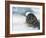 Do You Have a Fish?-Holger Droste-Framed Photographic Print