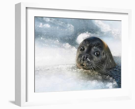 Do You Have a Fish?-Holger Droste-Framed Photographic Print