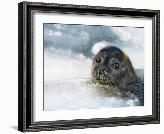 Do You Have a Fish?-Holger Droste-Framed Photographic Print