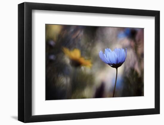 Do you wanna dance with me-Fabien BRAVIN-Framed Photographic Print