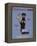 Doberman Pilsner-Ken Bailey-Framed Premier Image Canvas