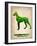 Doberman Pinscher Poster-NaxArt-Framed Art Print