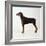 Doberman Pinscher, Standing, Side View-null-Framed Photographic Print