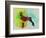 Doberman Pinscher Watercolor-NaxArt-Framed Art Print