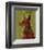 Doberman (Red)-John W^ Golden-Framed Art Print