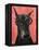 Doberman with Glasses-Fab Funky-Framed Stretched Canvas