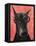 Doberman with Glasses-Fab Funky-Framed Stretched Canvas