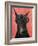 Doberman with Glasses-Fab Funky-Framed Art Print