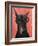 Doberman with Glasses-Fab Funky-Framed Art Print