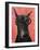 Doberman with Glasses-Fab Funky-Framed Art Print