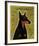 Doberman-John W^ Golden-Framed Art Print