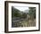 Doc Holliday's Grave, Glenwood Springs, Colorado, USA-Ethel Davies-Framed Photographic Print