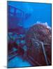 Doc Polson Wreck in the sea, Grand Cayman, Cayman Islands-null-Mounted Photographic Print