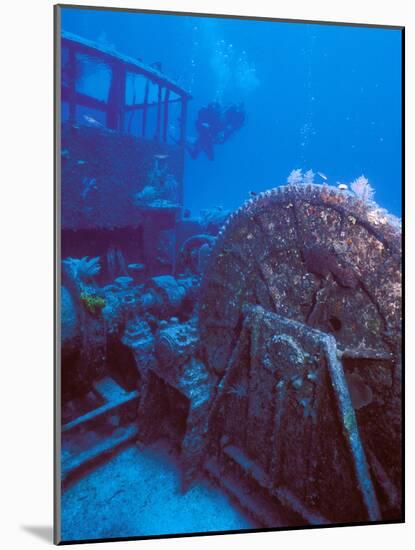 Doc Polson Wreck in the sea, Grand Cayman, Cayman Islands-null-Mounted Photographic Print