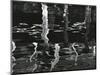 Dock and Water, Reflections, 1971-Brett Weston-Mounted Photographic Print