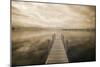 Dock at Crooked Lake, Conway, Michigan 09-Monte Nagler-Mounted Photographic Print