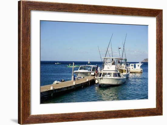 Dock at Oualie Beach, Nevis, St. Kitts and Nevis-Robert Harding-Framed Photographic Print