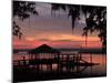 Dock at Sunrise Along the Intracoastal Waterway, Savannah, Georgia, USA-Joanne Wells-Mounted Photographic Print