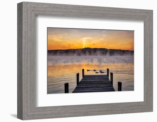 Dock at sunrise-Lisa Engelbrecht-Framed Photographic Print