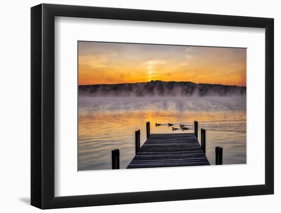 Dock at sunrise-Lisa Engelbrecht-Framed Photographic Print