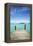 Dock , Staniel Cay, Exuma, Bahamas-James White-Framed Premier Image Canvas