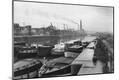 Photographic Print