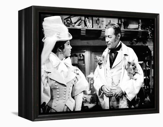 Doctor Dolittle-null-Framed Stretched Canvas