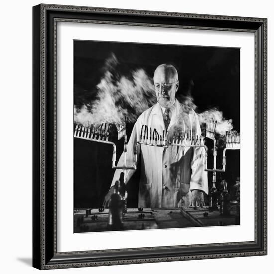 Doctor Evarts Graham Conducting Research on Cigarette Smoking and Lung Cancer, 1953-Fritz Goro-Framed Photographic Print