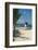 Doctor's Cave Beach, Montego Bay, Jamaica, West Indies, Caribbean, Central America-Ethel Davies-Framed Photographic Print