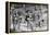 Doctor Who 1967-Victor Crawshaw-Framed Premier Image Canvas