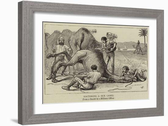 Doctoring a Sick Camel-null-Framed Giclee Print