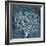 Document Sea Fern 1-Z Studio-Framed Art Print